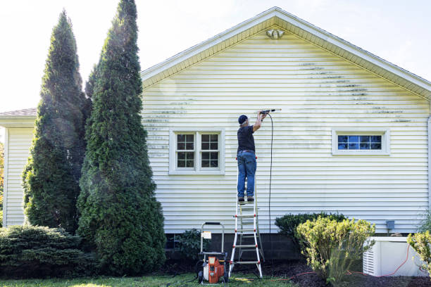 Best Roof Cleaning and Mildew Removal in USA